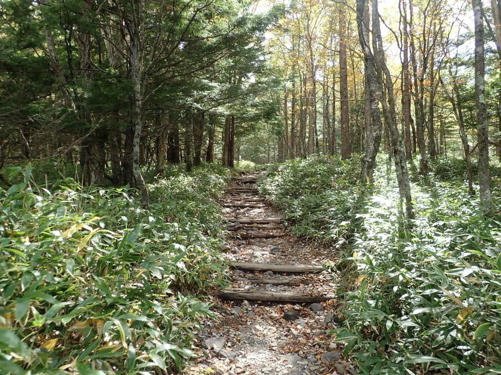 山頂は360度の絶景　蓼科山の写真3
