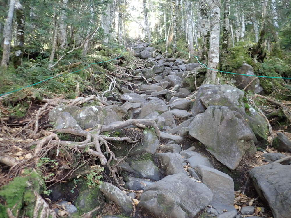 山頂は360度の絶景　蓼科山の写真5