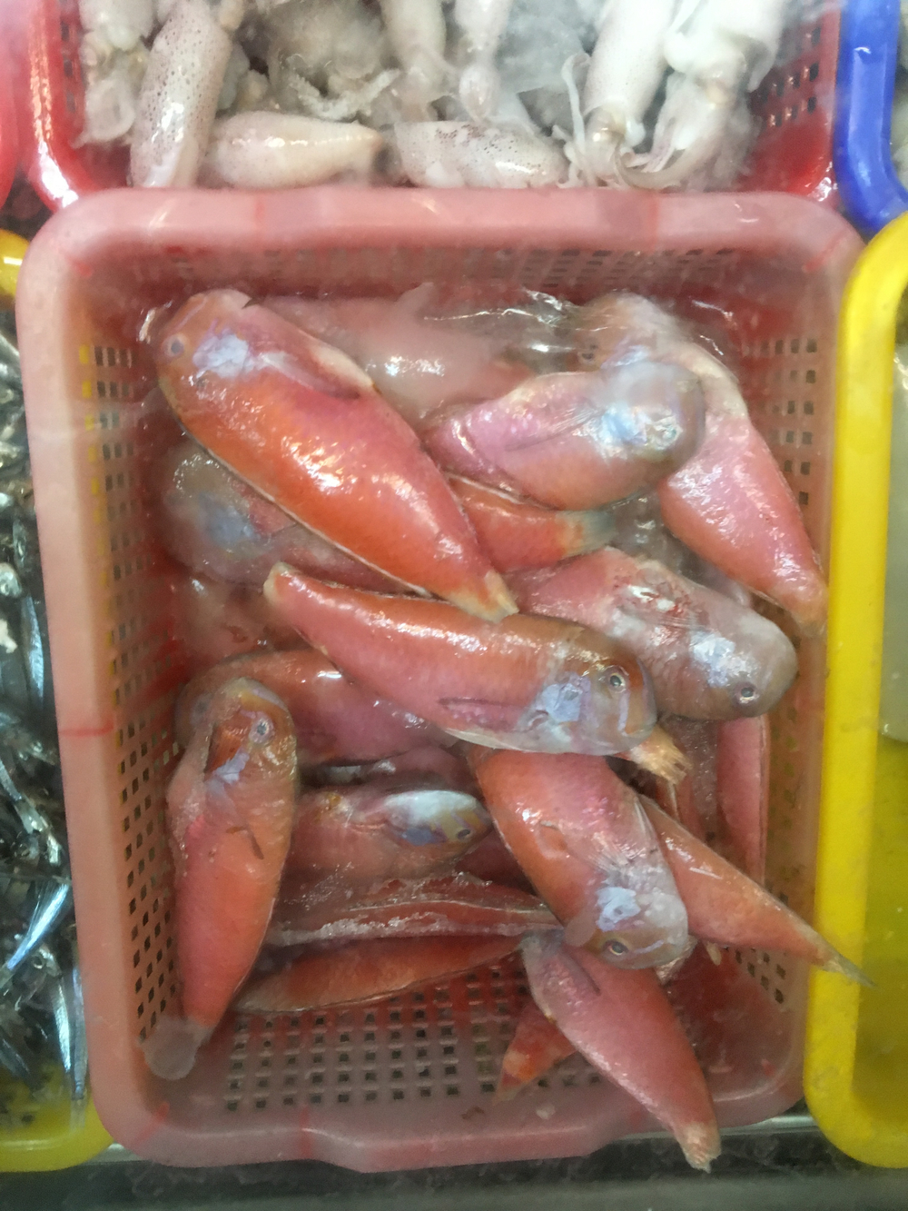 台湾膨湖島・馬公市の海水浴場と漁港の写真10