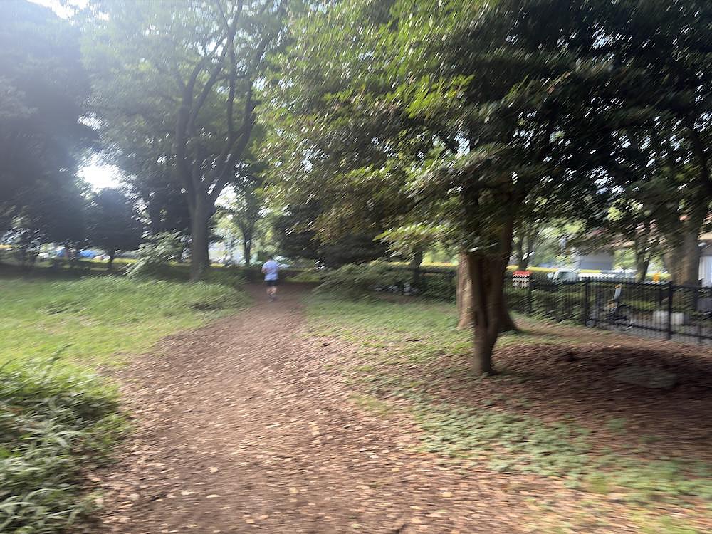 代々木公園クロカンコースの写真3