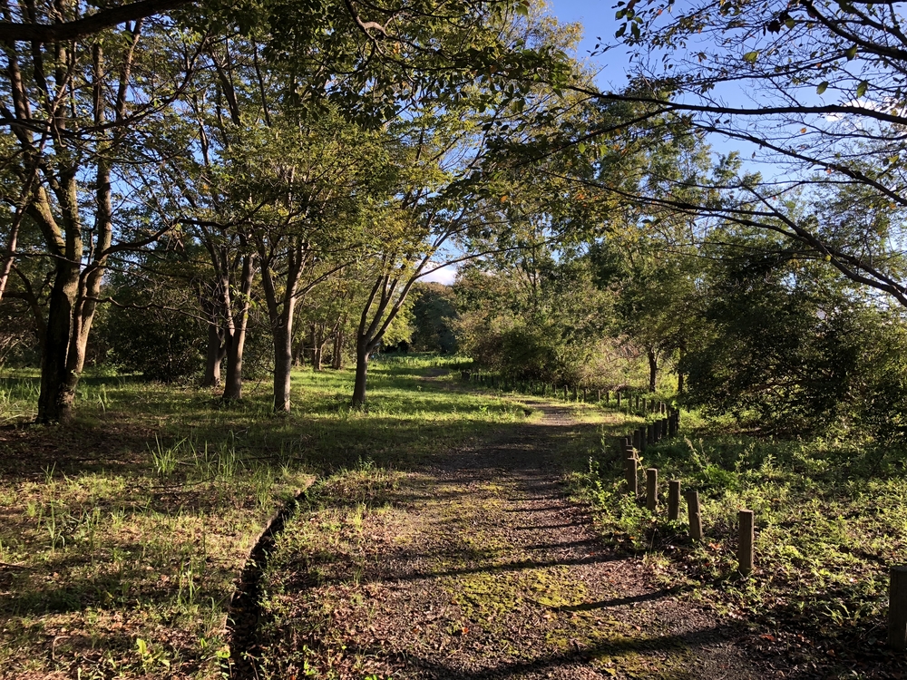 まほろば健康パーク周回コースの写真3
