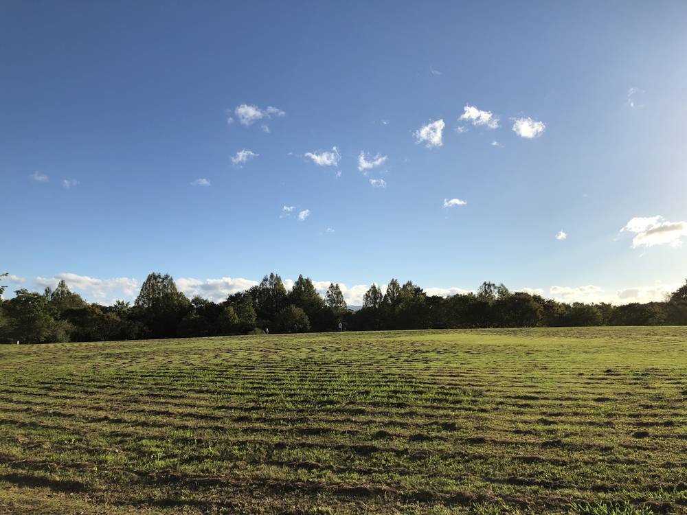 まほろば健康パーク周回コースの写真4