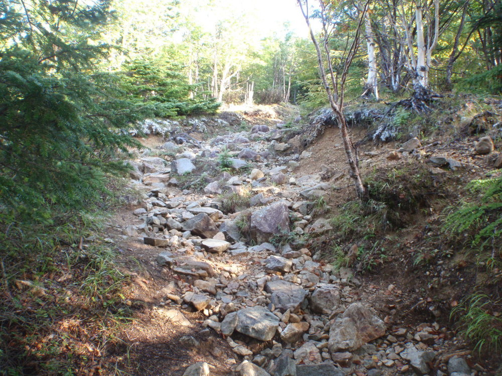 鳳凰三山縦走の写真4