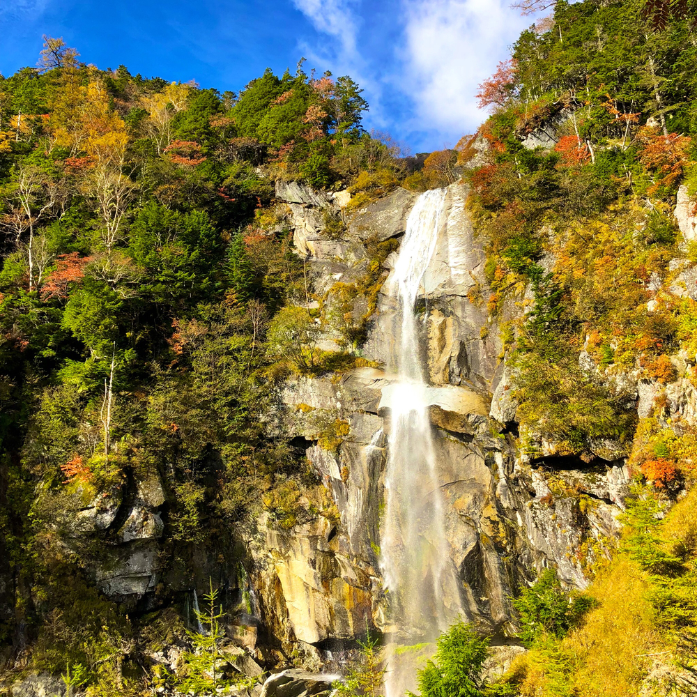 鳳凰三山周回トレイル18キロの写真3