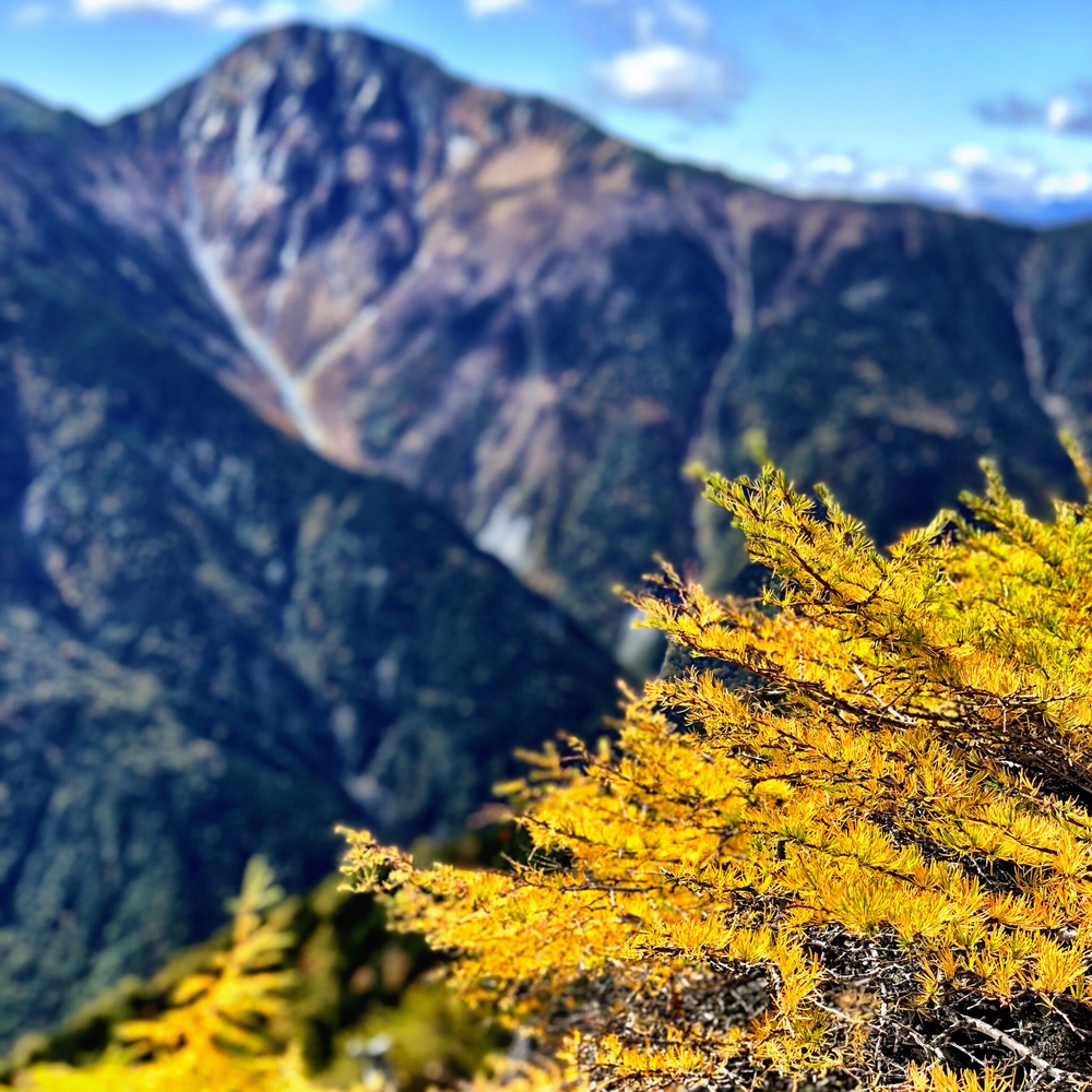鳳凰三山周回トレイル18キロの写真9