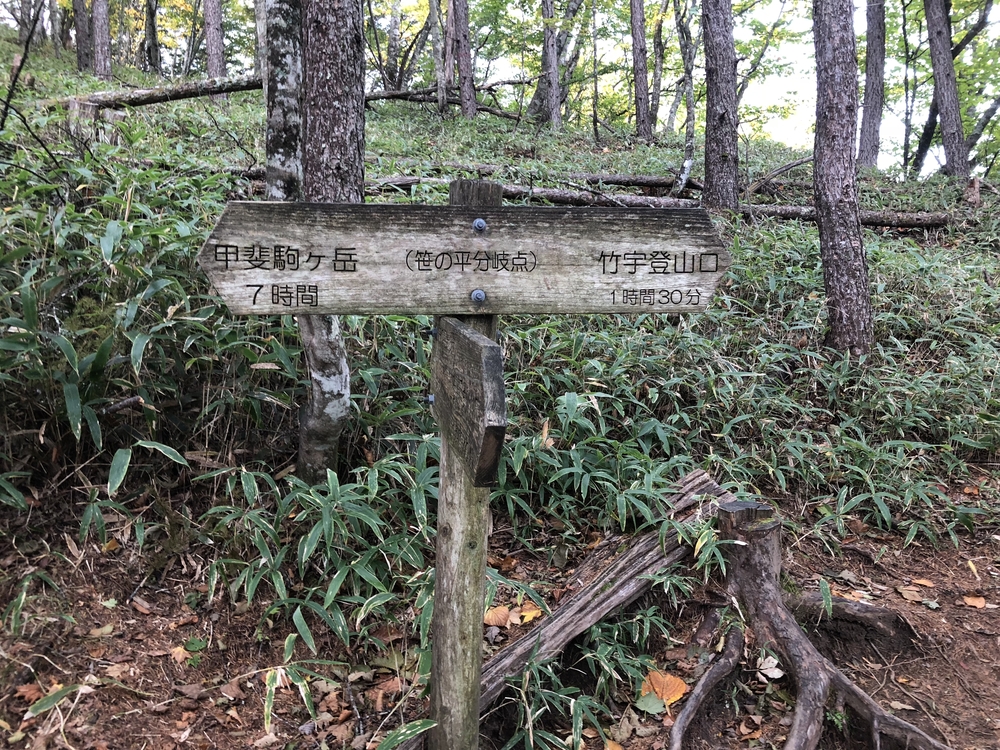 甲斐駒ケ岳急登トレイルの写真4