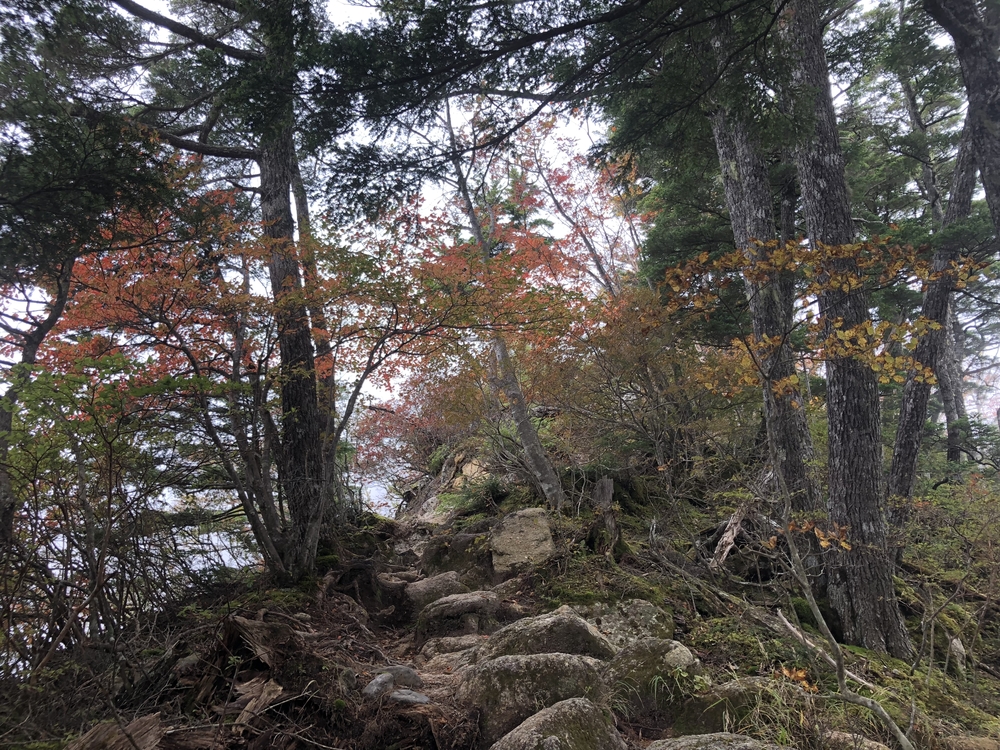 甲斐駒ケ岳急登トレイルの写真6