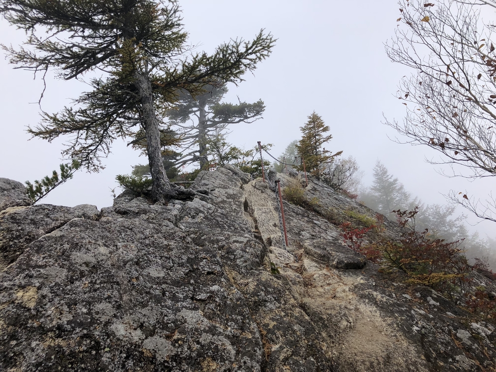 甲斐駒ケ岳急登トレイルの写真7