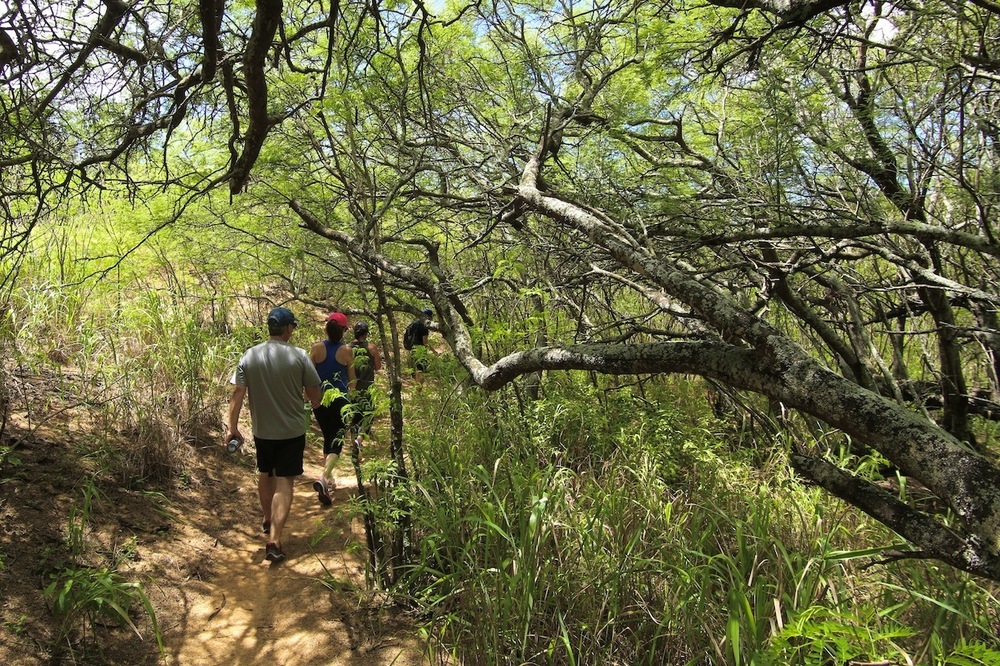 カウアイ島の楽園① マハウレプ・ヘリテージ・トレイルの写真9