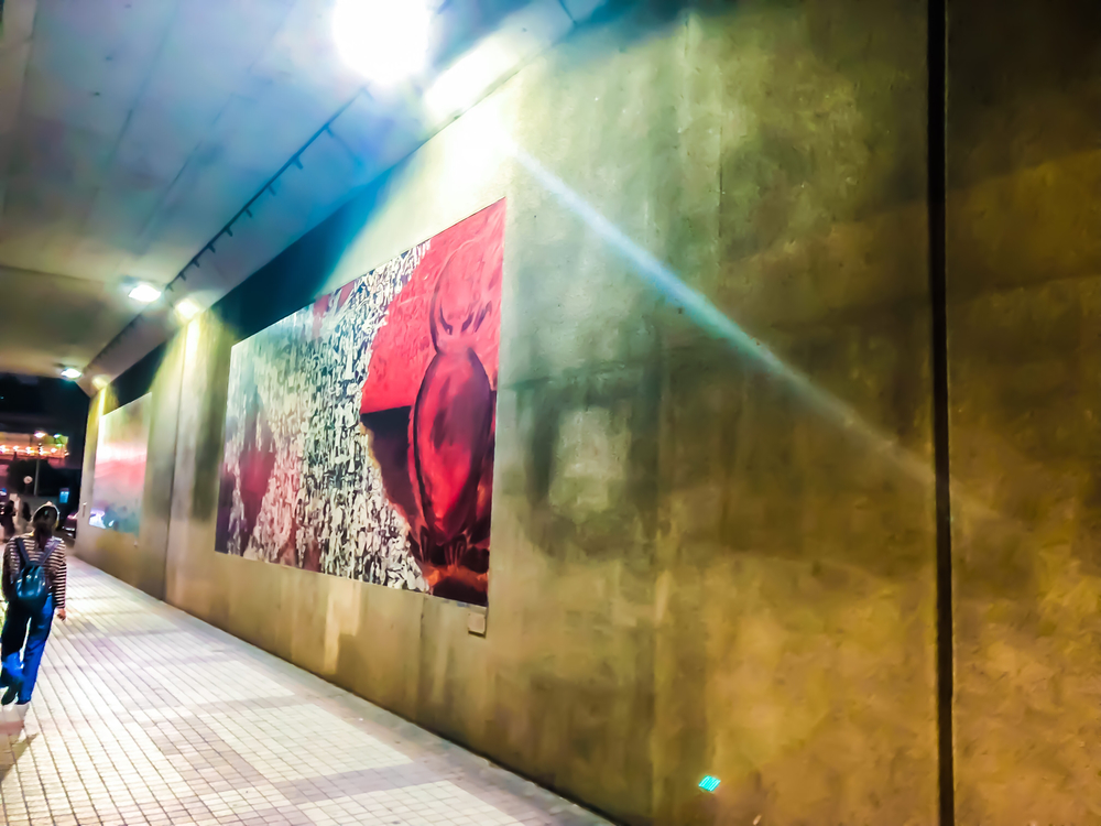 ナイトランクルージング六本木-原宿-新宿の写真4