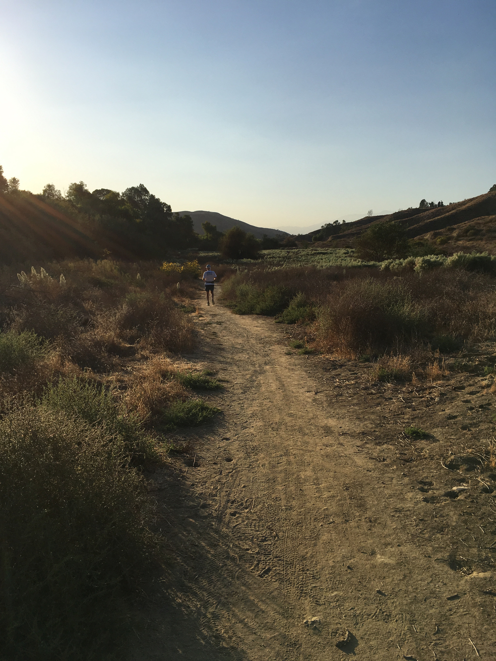 Redlands San Timoteo canyon Carriageトレイルランの写真3