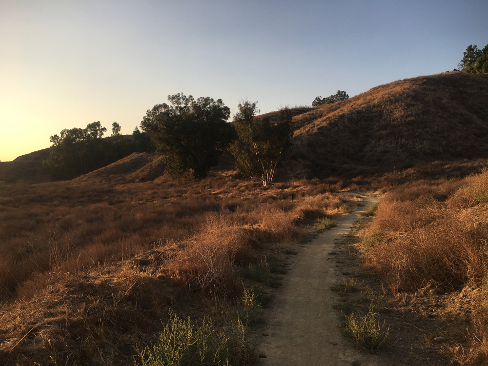 Redlands San Timoteo canyon Carriageトレイルランの写真5