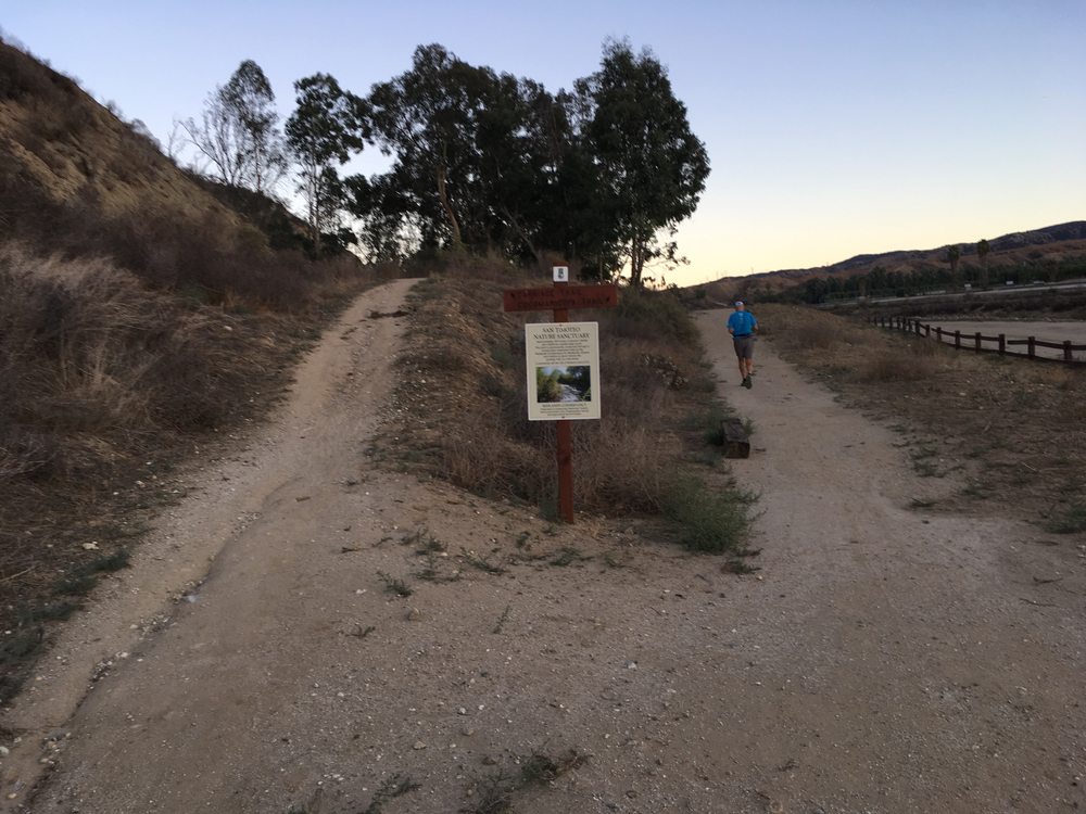 Redlands San Timoteo canyon Carriageトレイルランの写真8