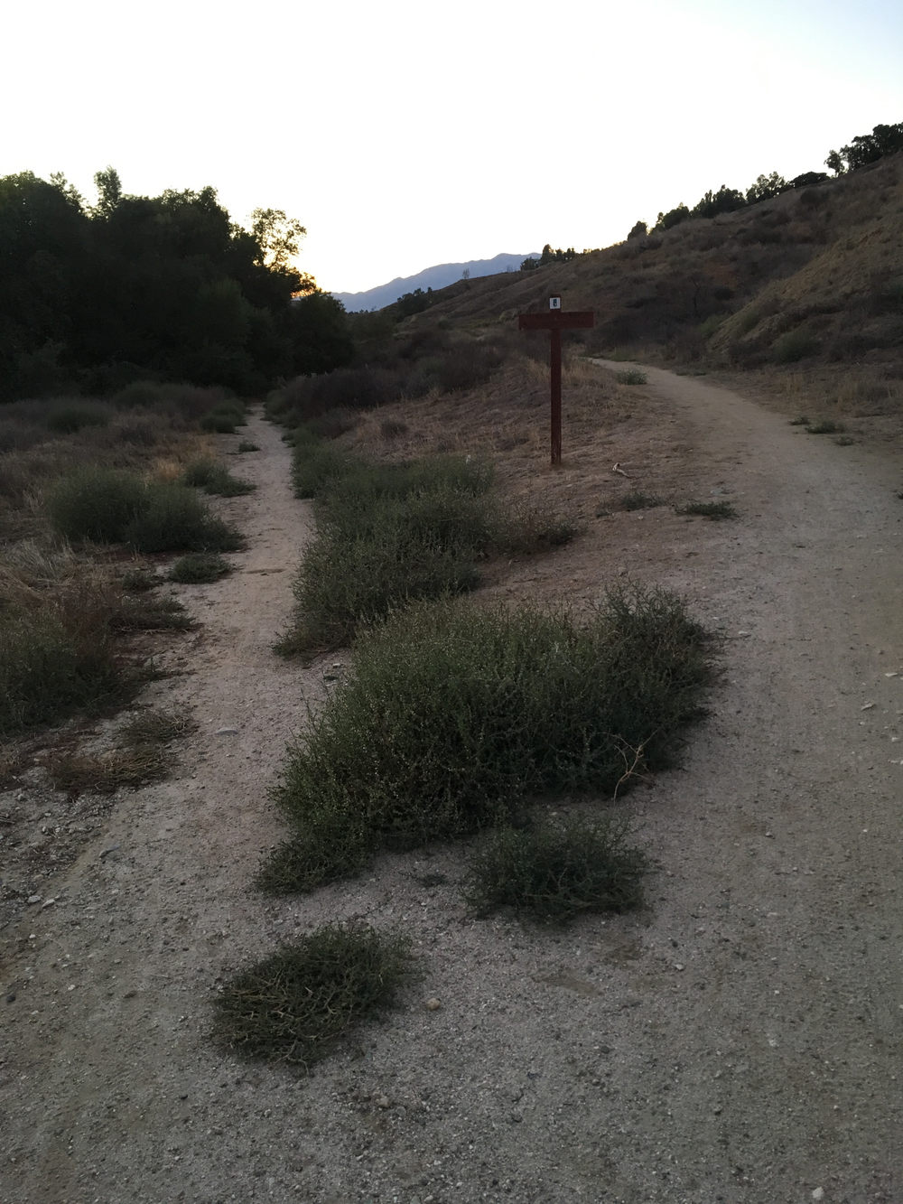 Redlands San Timoteo canyon Carriageトレイルランの写真9