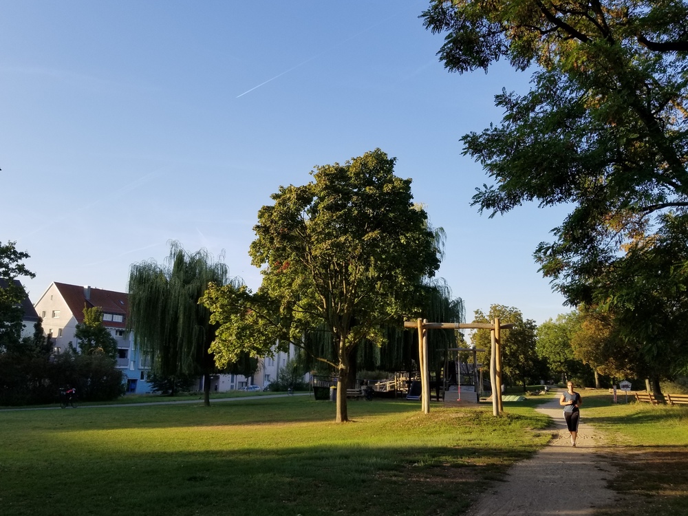 シュトゥットガルト市内のぶどう畑とネッカー川のほとりの写真7