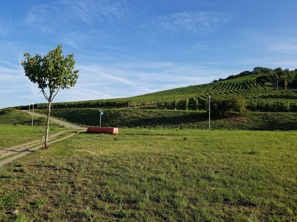 シュトゥットガルト市内のぶどう畑とネッカー川のほとりの写真10