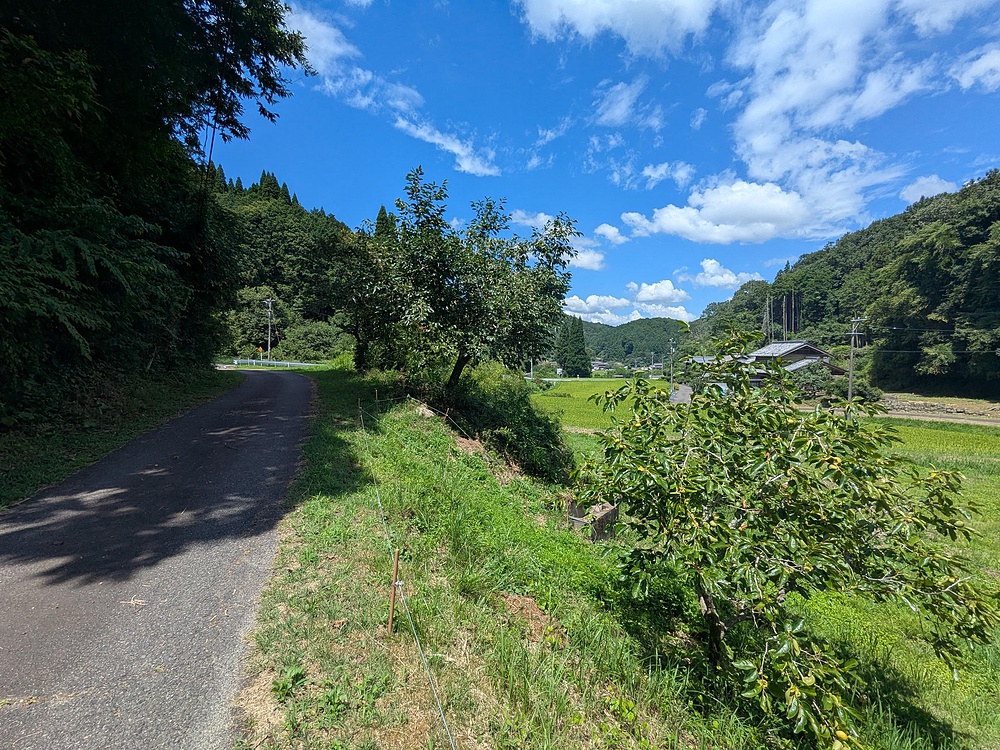 岐阜の田園風景から旧中山道を通り抜けるの写真3