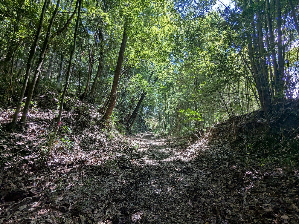 岐阜の田園風景から旧中山道を通り抜けるの写真5