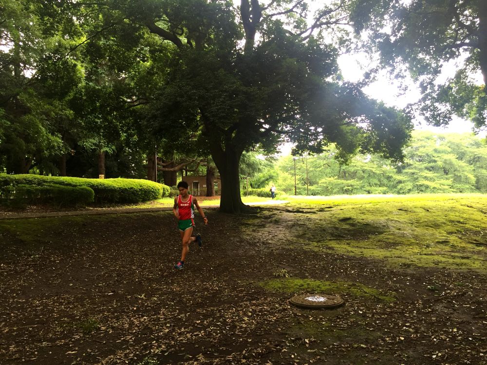 歴史を感じるランナーの道。砧公園クロカンコースの写真4