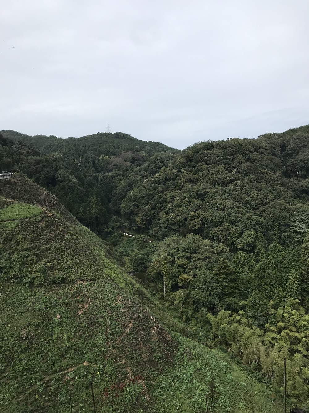 トレイル率 90%！12K “走れる”飯能トレイル 東吾野駅〜橋本山〜鎌北湖〜物見山〜高麗駅の写真4