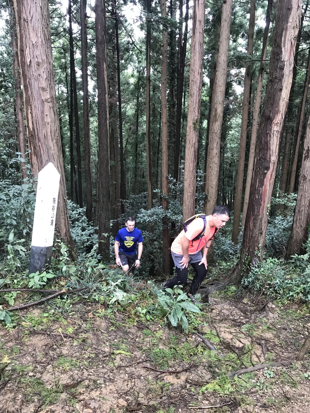 トレイル率 90%！12K “走れる”飯能トレイル 東吾野駅〜橋本山〜鎌北湖〜物見山〜高麗駅の写真5