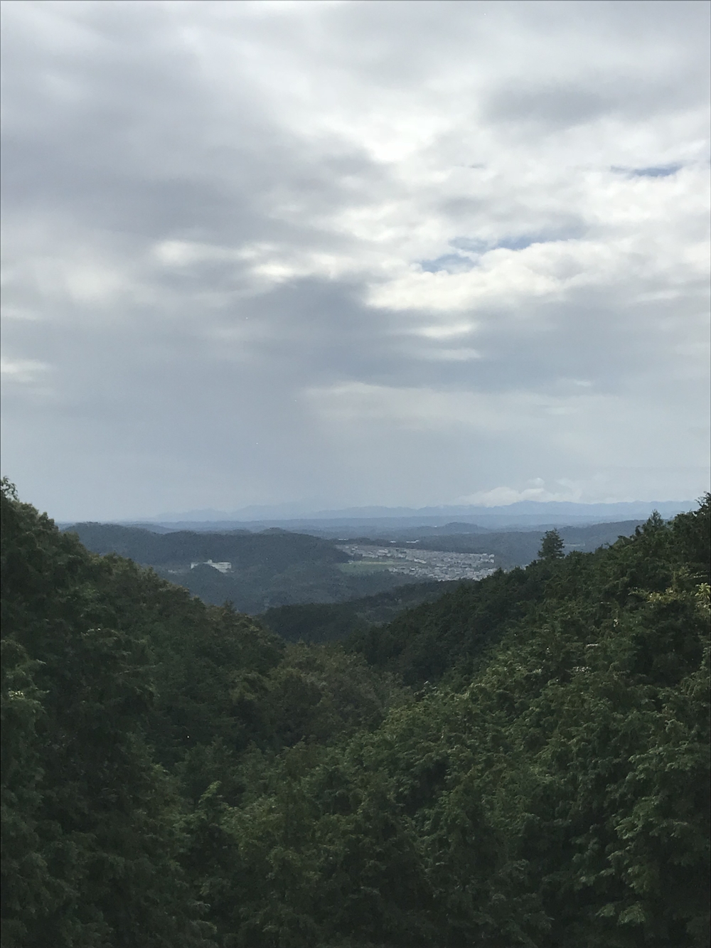 トレイル率 90%！12K “走れる”飯能トレイル 東吾野駅〜橋本山〜鎌北湖〜物見山〜高麗駅の写真6