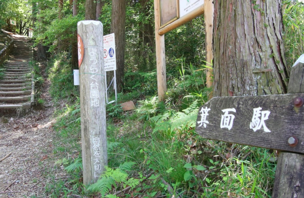 大阪の都心を一望！五月山・箕面トレイルランニングコースの写真4