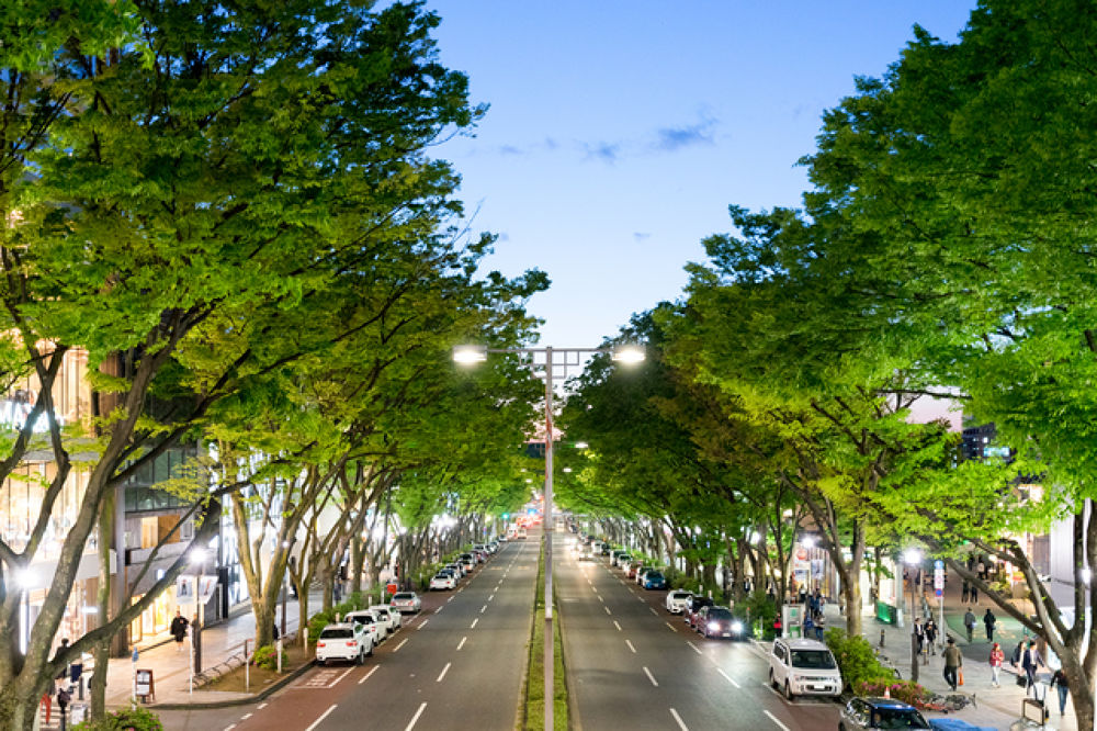 代々木〜原宿〜神宮外苑〜表参道の写真3
