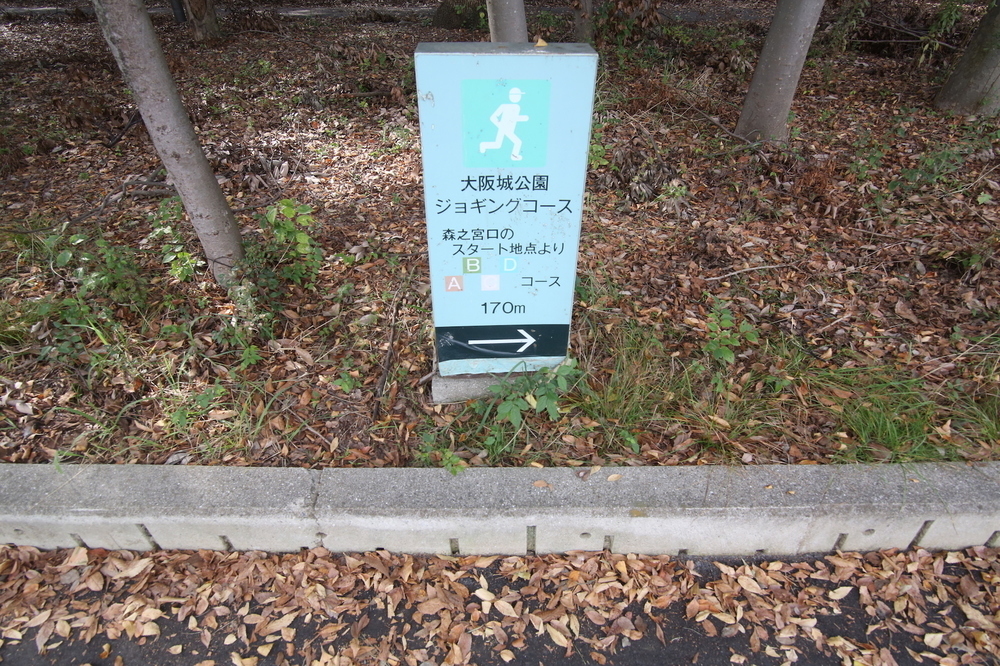 定番！大阪城公園周回3.5kmコースの写真3