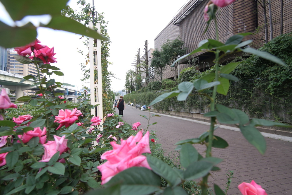 大阪中心部川沿い・中之島1周7.1kmコースの写真6