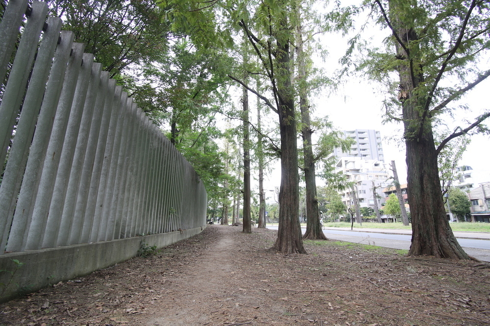 定番！長居公園周回2.8kmコースの写真7