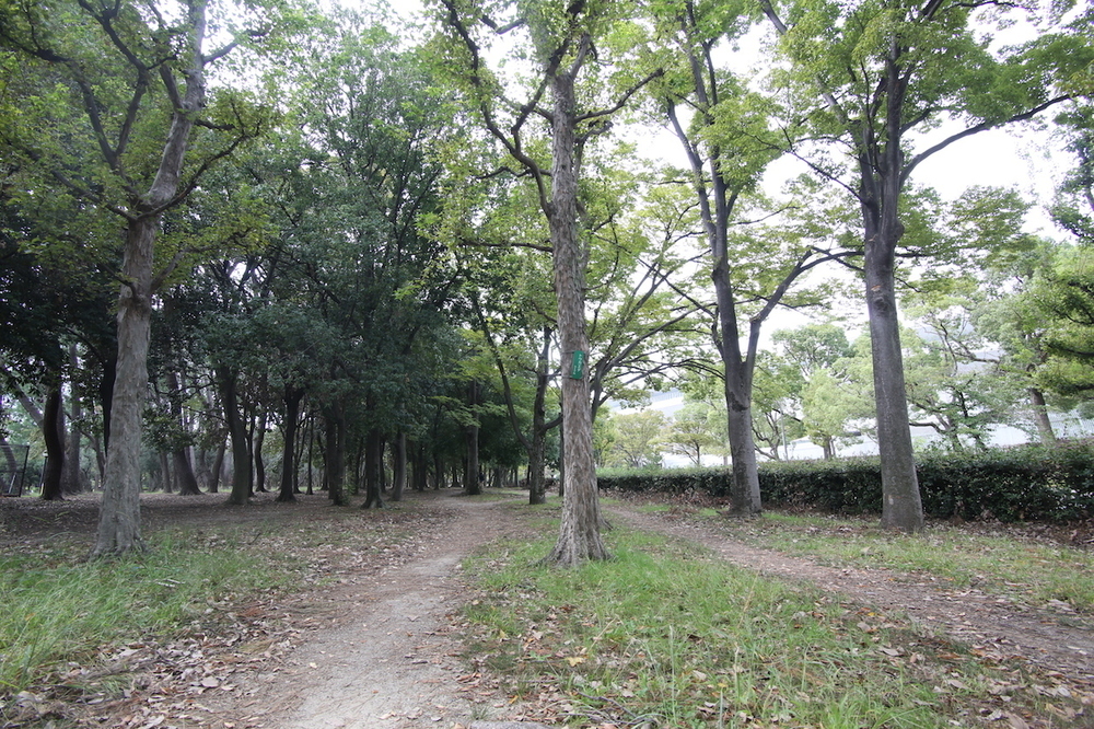 定番！長居公園周回2.8kmコースの写真8