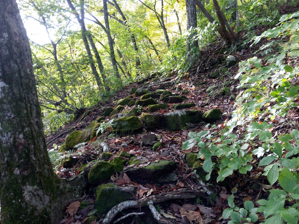 渋川伊香保トレイルランニング＋αの写真8