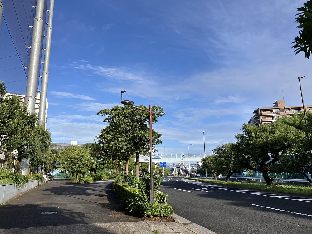 西葛西からひまわり咲く葛西臨海公園の写真3
