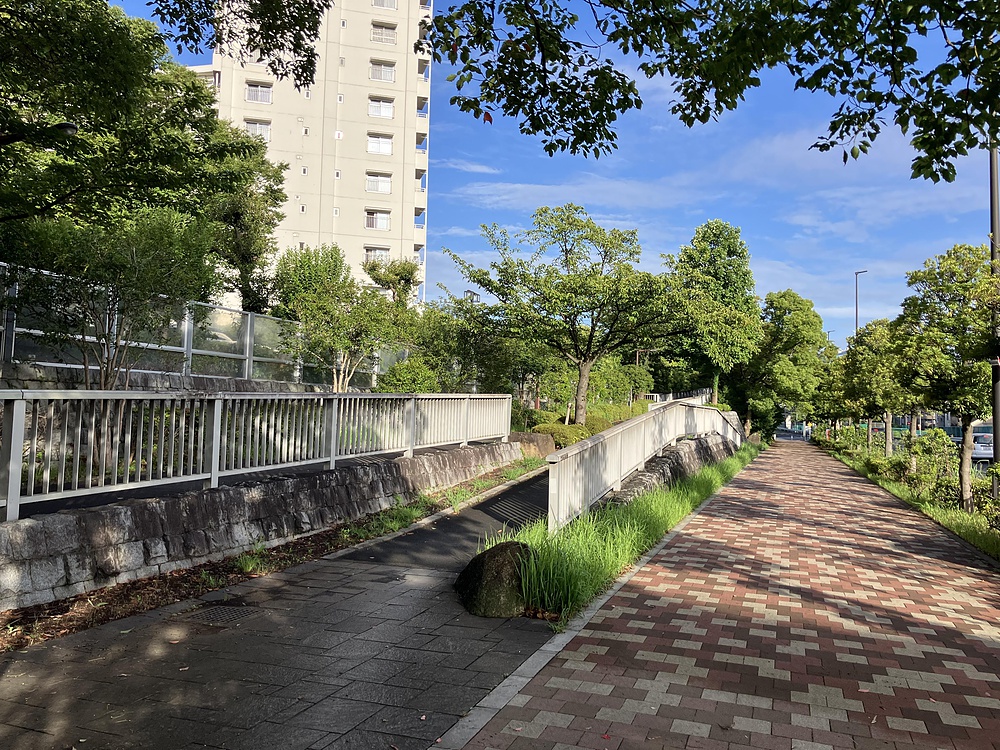 西葛西からひまわり咲く葛西臨海公園の写真4