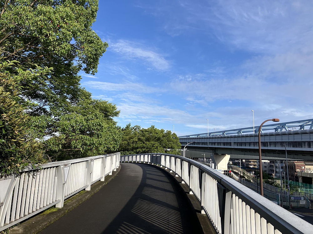 西葛西からひまわり咲く葛西臨海公園の写真5