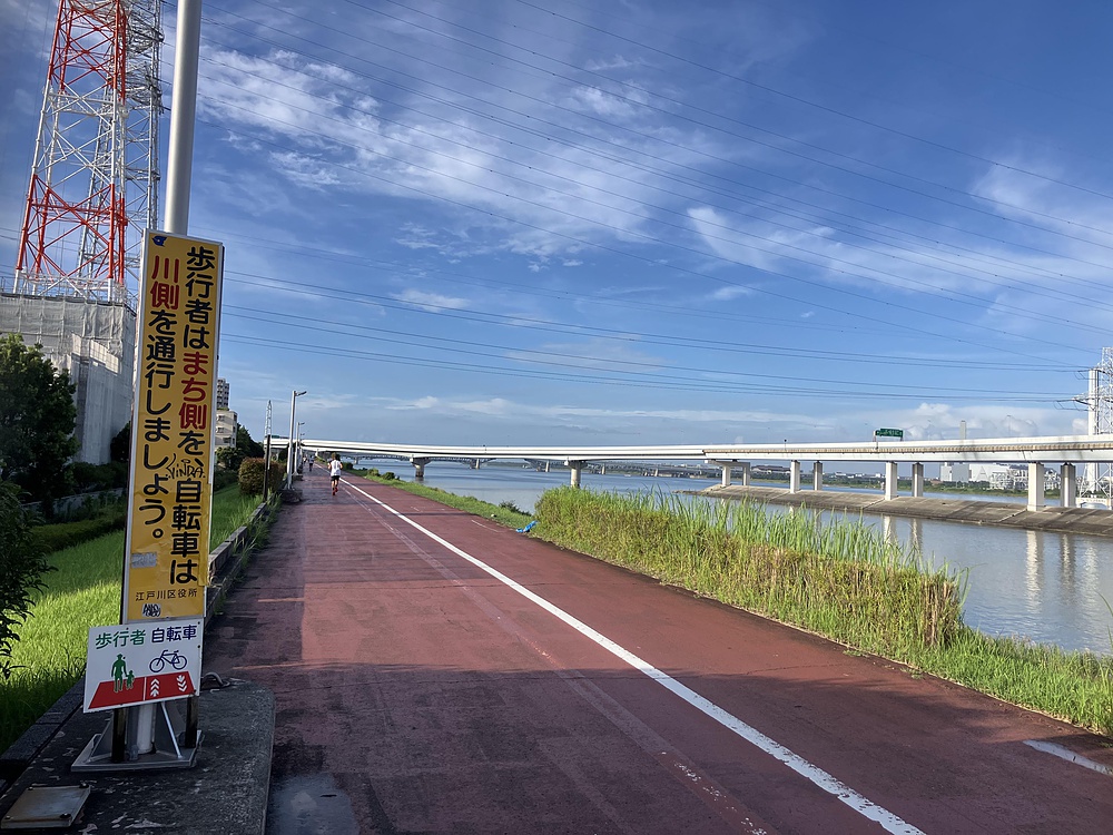 西葛西からひまわり咲く葛西臨海公園の写真6