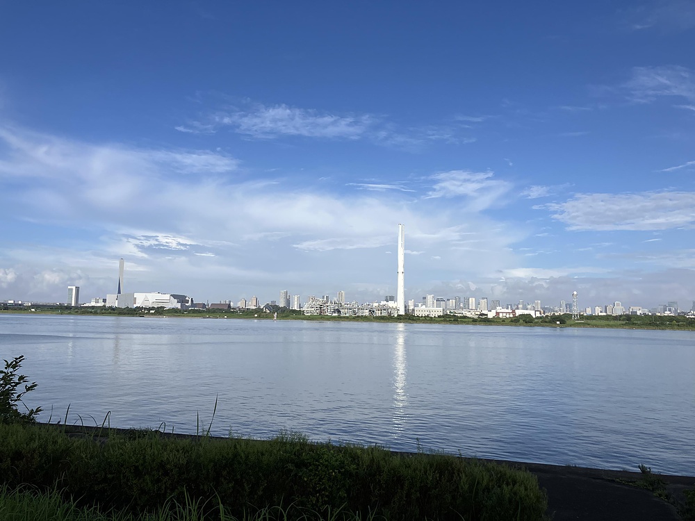 西葛西からひまわり咲く葛西臨海公園の写真7