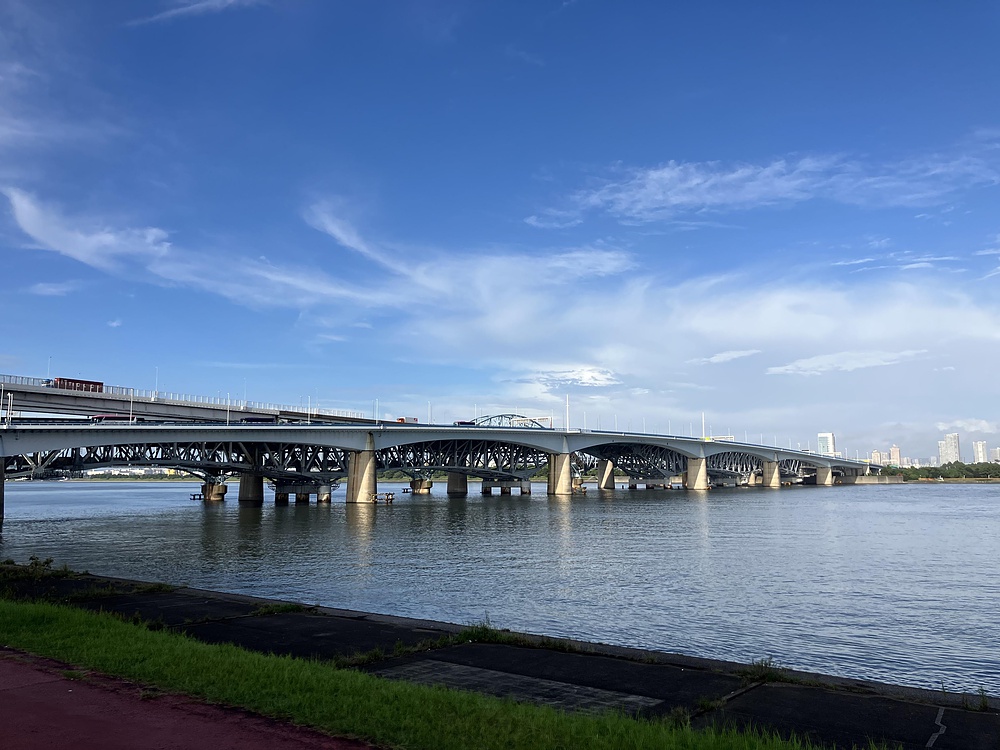 西葛西からひまわり咲く葛西臨海公園の写真8
