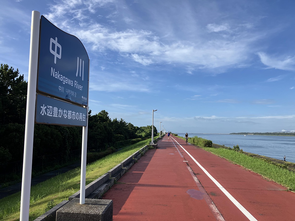 西葛西からひまわり咲く葛西臨海公園の写真9