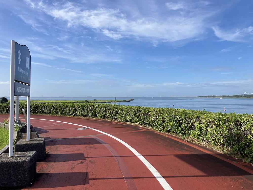 西葛西からひまわり咲く葛西臨海公園の写真11