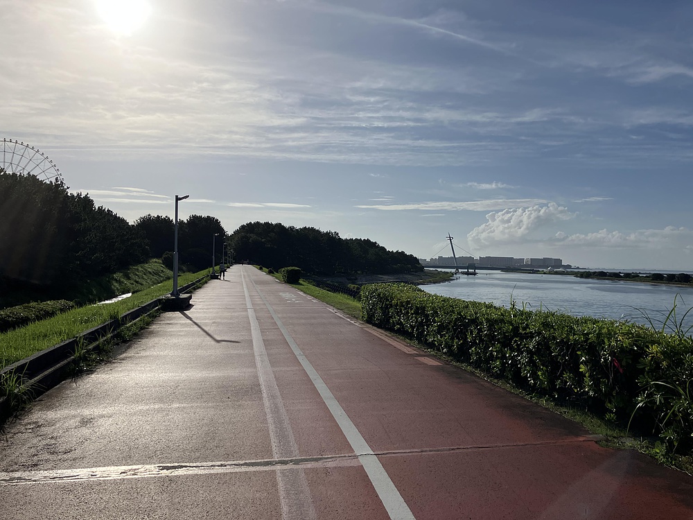 西葛西からひまわり咲く葛西臨海公園の写真12