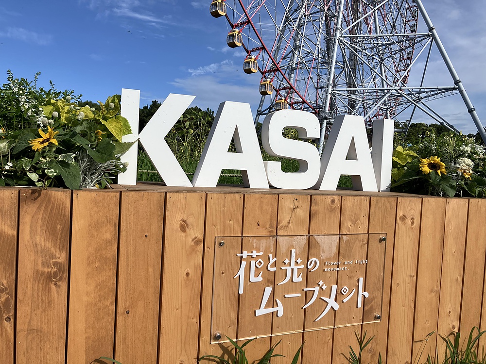 西葛西からひまわり咲く葛西臨海公園の写真19