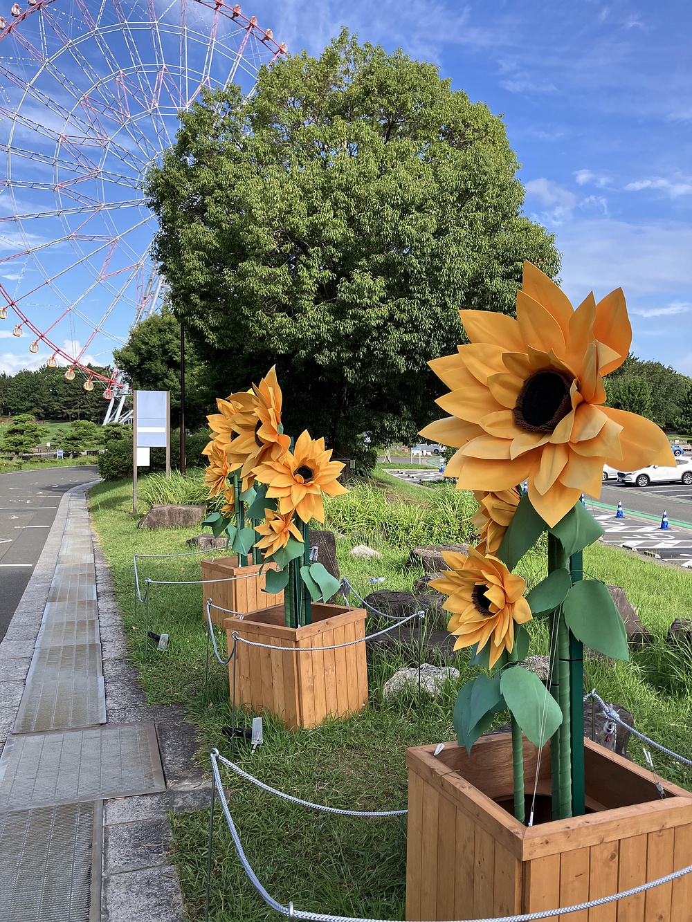 西葛西からひまわり咲く葛西臨海公園の写真21
