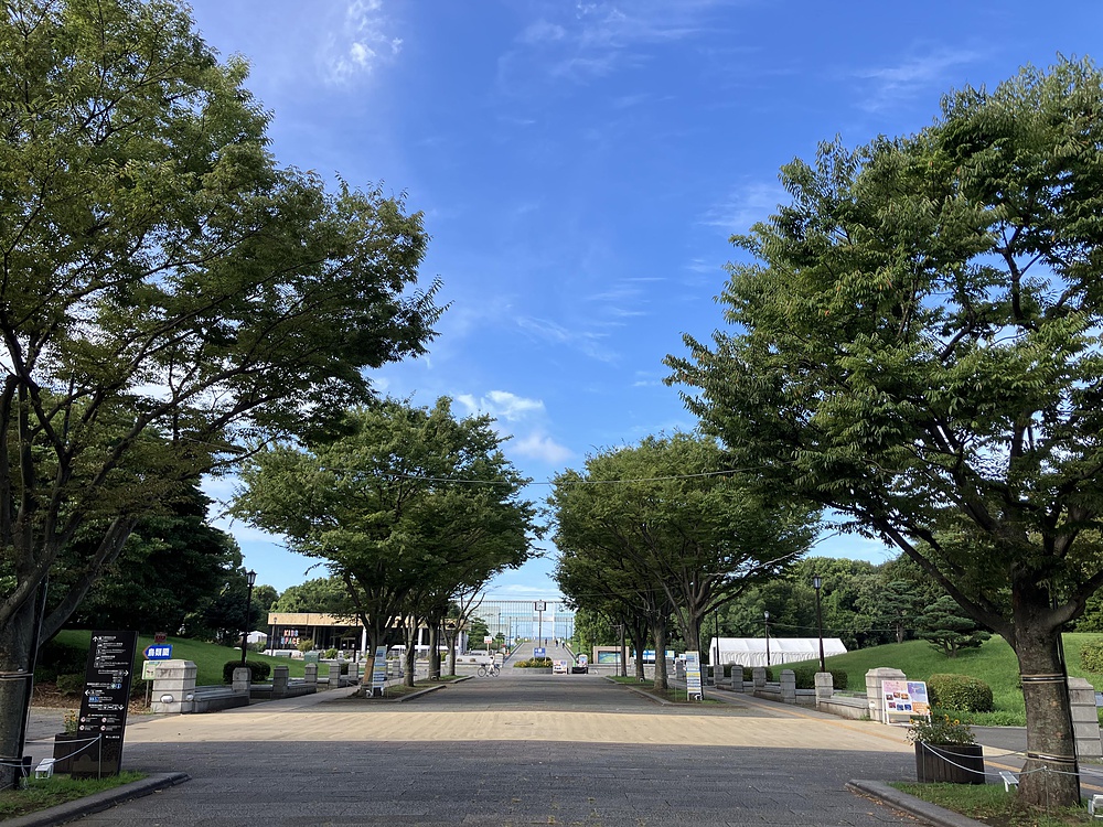 西葛西からひまわり咲く葛西臨海公園の写真22