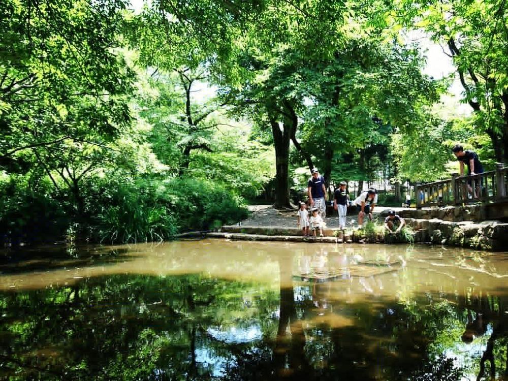 goodrを買って浮かれたオトナたちのお気に入りRUNコース ～夏ver～の写真5