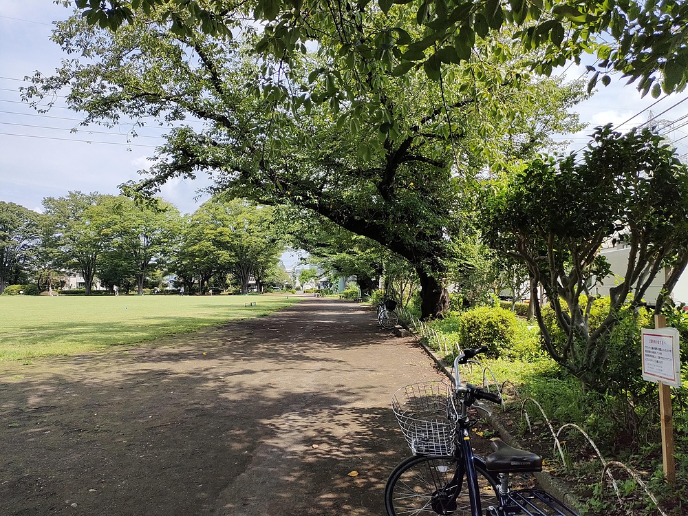 旭ヶ丘中央公園、日野市の写真3