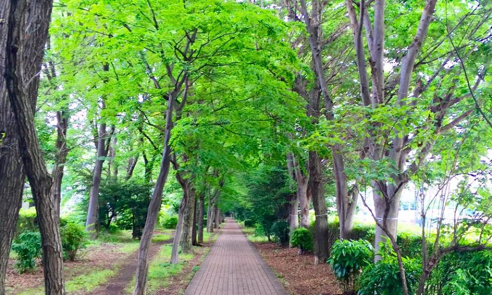 多摩湖＋小平グリーンロード【27km】の写真3