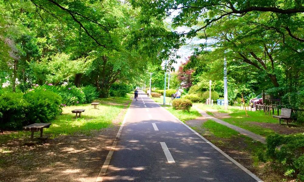 多摩湖＋小平グリーンロード【27km】の写真5