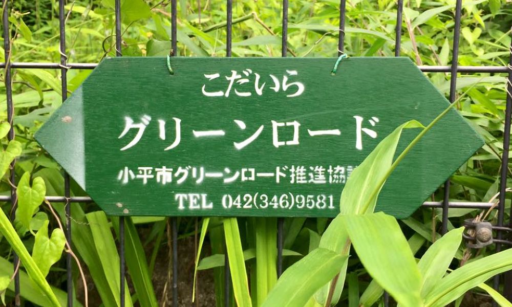 多摩湖＋小平グリーンロード【27km】の写真6